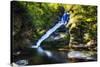 Dingmans Fall in Summer, Pennsylvania-George Oze-Stretched Canvas