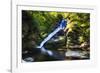 Dingmans Fall in Summer, Pennsylvania-George Oze-Framed Photographic Print