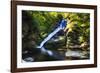 Dingmans Fall in Summer, Pennsylvania-George Oze-Framed Photographic Print