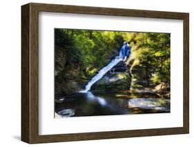 Dingmans Fall in Summer, Pennsylvania-George Oze-Framed Photographic Print