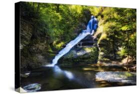 Dingmans Fall in Summer, Pennsylvania-George Oze-Stretched Canvas