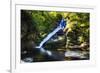 Dingmans Fall in Summer, Pennsylvania-George Oze-Framed Photographic Print