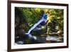 Dingmans Fall in Summer, Pennsylvania-George Oze-Framed Photographic Print