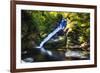 Dingmans Fall in Summer, Pennsylvania-George Oze-Framed Photographic Print