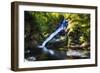 Dingmans Fall in Summer, Pennsylvania-George Oze-Framed Photographic Print