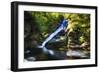 Dingmans Fall in Summer, Pennsylvania-George Oze-Framed Photographic Print