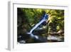 Dingmans Fall in Summer, Pennsylvania-George Oze-Framed Photographic Print