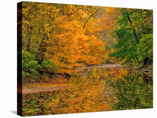 Dingmans Ferry, Pennsylvania, USA-Jay O'brien-Stretched Canvas