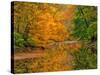 Dingmans Ferry, Pennsylvania, USA-Jay O'brien-Stretched Canvas