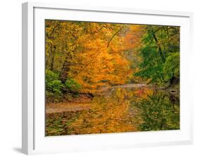 Dingmans Ferry, Pennsylvania, USA-Jay O'brien-Framed Photographic Print