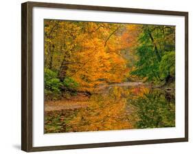 Dingmans Ferry, Pennsylvania, USA-Jay O'brien-Framed Photographic Print