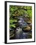 Dingmans Ferry, Philadelphia, Pennsylvania, USA-Jay O'brien-Framed Premium Photographic Print