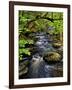 Dingmans Ferry, Philadelphia, Pennsylvania, USA-Jay O'brien-Framed Photographic Print