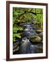 Dingmans Ferry, Philadelphia, Pennsylvania, USA-Jay O'brien-Framed Photographic Print