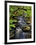 Dingmans Ferry, Philadelphia, Pennsylvania, USA-Jay O'brien-Framed Photographic Print