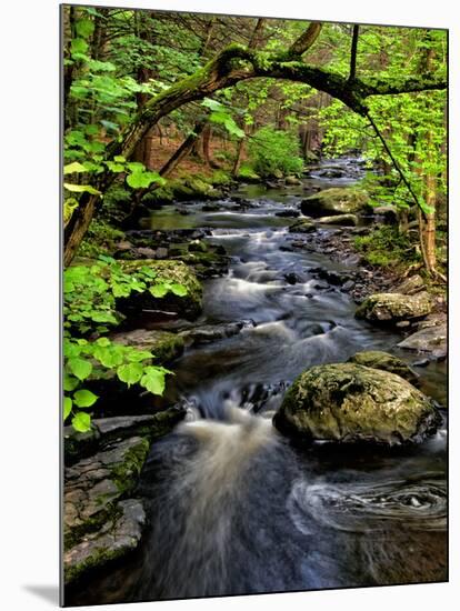 Dingmans Ferry, Philadelphia, Pennsylvania, USA-Jay O'brien-Mounted Photographic Print