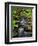 Dingmans Ferry, Philadelphia, Pennsylvania, USA-Jay O'brien-Framed Photographic Print