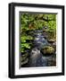 Dingmans Ferry, Philadelphia, Pennsylvania, USA-Jay O'brien-Framed Photographic Print