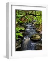 Dingmans Ferry, Philadelphia, Pennsylvania, USA-Jay O'brien-Framed Photographic Print