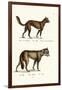 Dingo, 1824-Karl Joseph Brodtmann-Framed Giclee Print