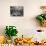 Dining Room in Waldorf-Astoria Hotel in Manhattan-George Boldt-Photographic Print displayed on a wall