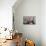 Dining Room on Board the Lightship 'Relandersgrund, Helsinki, Finland, 2011-Sheldon Marshall-Photographic Print displayed on a wall