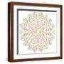 Brown Frame