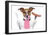 Dinner Dog-Javier Brosch-Framed Photographic Print