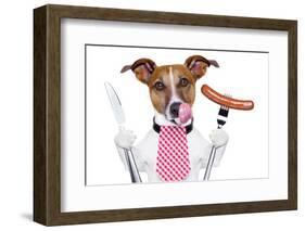 Dinner Dog-Javier Brosch-Framed Photographic Print