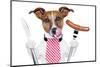 Dinner Dog-Javier Brosch-Mounted Photographic Print