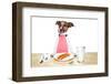 Dinner Meal at Table Dog-Javier Brosch-Framed Photographic Print