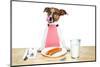 Dinner Meal at Table Dog-Javier Brosch-Mounted Photographic Print