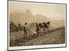 Dinner Time, from 'sun Artists: a Serial of Artistic Photography', Published 1889-91-Frank Meadow Sutcliffe-Mounted Giclee Print