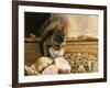 Dinnertime-Kevin Dodds-Framed Giclee Print