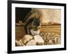 Dinnertime-Kevin Dodds-Framed Giclee Print