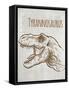 Dinosaur 1-Kimberly Allen-Framed Stretched Canvas