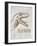 Dinosaur 4-Kimberly Allen-Framed Art Print