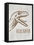 Dinosaur 4-Kimberly Allen-Framed Stretched Canvas