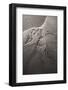 Dinosaur Fossil (Archeopteryx Litographica) At The Royal Tyrrell Museum, Drumheller, Alberta-Juan Carlos Munoz-Framed Photographic Print