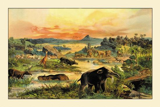 Art Print, , large