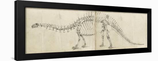 Dinosaur Study I-Ethan Harper-Framed Art Print