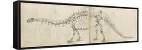 Dinosaur Study I-Ethan Harper-Framed Stretched Canvas