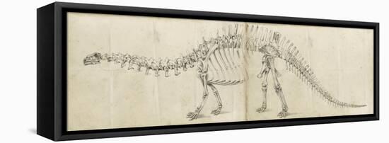 Dinosaur Study I-Ethan Harper-Framed Stretched Canvas