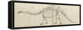 Dinosaur Study I-Ethan Harper-Framed Stretched Canvas