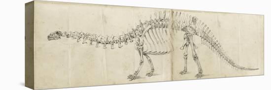 Dinosaur Study I-Ethan Harper-Stretched Canvas