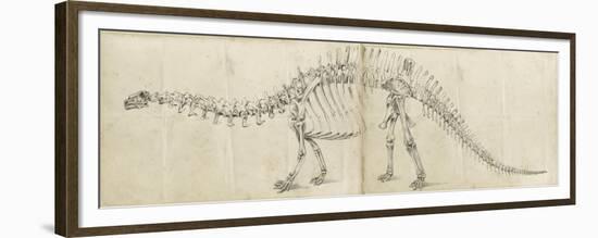 Dinosaur Study I-Ethan Harper-Framed Premium Giclee Print