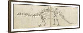 Dinosaur Study I-Ethan Harper-Framed Premium Giclee Print