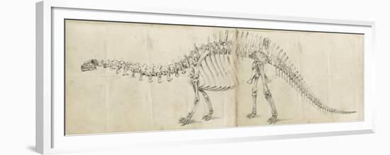 Dinosaur Study I-Ethan Harper-Framed Premium Giclee Print