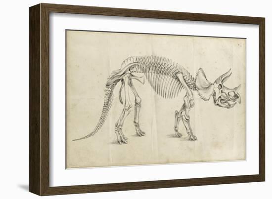 Dinosaur Study II-Ethan Harper-Framed Art Print