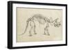 Dinosaur Study II-Ethan Harper-Framed Art Print